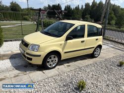Fiat Panda - Obrazek 1