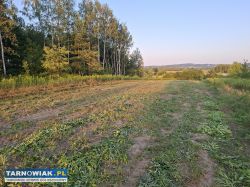4 działki bud. z WZ – Grabiny, gm Czarna - Obrazek 2