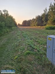 4 działki bud. z WZ – Grabiny, gm Czarna - Obrazek 3