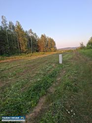 4 działki bud. z WZ – Grabiny, gm Czarna - Obrazek 4