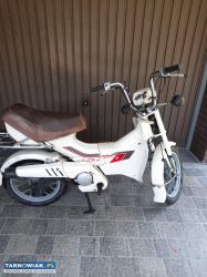 Zabytkowy/klasyczny motorower/skuter HONDA PX-L 50 - Obrazek 1