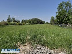 Dom z dużą działką i stawem – Strzelce Wielkie - Obrazek 3
