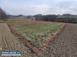 Szynwałd - widokowa, działka budowlana - Obrazek 2