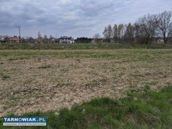 Koszyce Małe duża działka pod zabudowę mieszkaniow - Obrazek 2