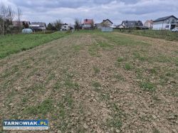 Koszyce Małe, 31 ar - Obrazek 4