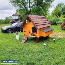 Kurniki domki dla Kurek/ kaczek - Obrazek 2