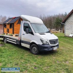 Kurniki domki dla Kurek/ kaczek - Obrazek 4