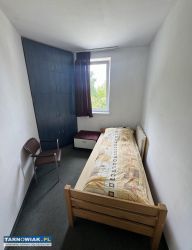 Wynajmę dom/mieszkania/pokoje dla pracowników - Obrazek 1