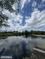 Wynajmę dom/mieszkania/pokoje dla pracowników - Obrazek 3