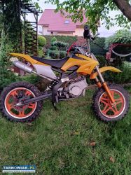 Mini cross 50 - Obrazek 3