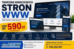 Promowanie ogłoszeń na portalach ogłoszeniowych + - Obrazek 2