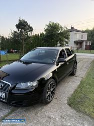 Audi a3 8p 1.9 tdi + koła zimowe alu - Obrazek 1
