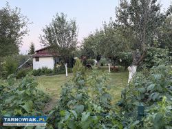 Sprzedam działkę na ogródkach działkowych z altaną - Obrazek 1
