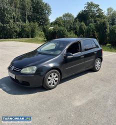 Vw golf v 1.6 / gaz 2004r - Obrazek 1