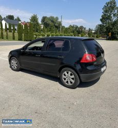 Vw golf v 1.6 / gaz 2004r - Obrazek 3