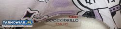 Coccodrillo 158 Liliowa koszulka Looney Tunes - Obrazek 3