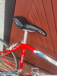 Rower szosowy VINER Alu MR Evolution | Shimano 105 - Obrazek 1