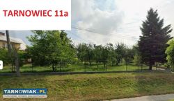 Tarnowiec 11a - Obrazek 1