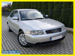 Audi a3 1.6 2002/03r lift bogate wyposaż. Bez rdzy - Obrazek 1