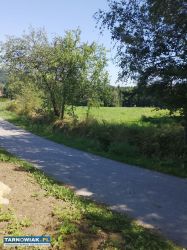 Sprzedam działkę - Obrazek 2