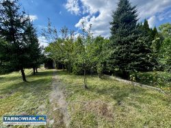 Ogródek działkowy nr 352 w ROD Leliwa w Tarnowie - Obrazek 2