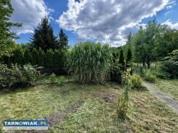 Ogródek działkowy nr 352 w ROD Leliwa w Tarnowie - Obrazek 3