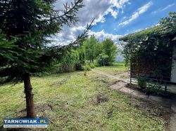 Ogródek działkowy nr 352 w ROD Leliwa w Tarnowie - Obrazek 4