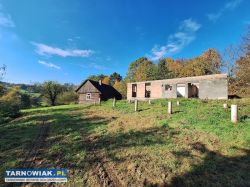 Klimatyczny dom z bala w Brzozowej+66 arów działki - Obrazek 3
