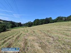 Działka rolno-zagrodowa Janowice Gmina Pleśna - Obrazek 1