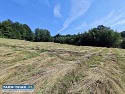 Działka rolno-zagrodowa Janowice Gmina Pleśna - Obrazek 2