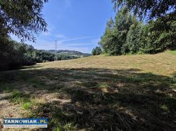 Działka rolno-zagrodowa Janowice Gmina Pleśna - Obrazek 3