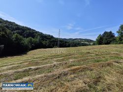 Działka rolno-zagrodowa Janowice Gmina Pleśna - Obrazek 4