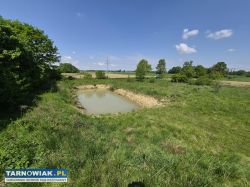 Dom z dużą działką i stawem – Strzelce Wielkie - Obrazek 4