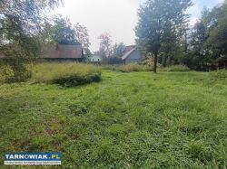 Działka z budynkami – 41 arów, Skrzyszów - Obrazek 3