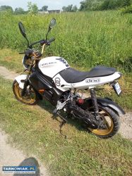 Gilera dna 50/70 - Obrazek 2