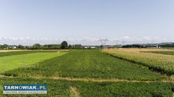 Działki budowlane z 2 WZ Łęg tarnowski - Obrazek 2