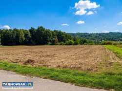 Działka budowlana okolica Tuchowa-Buchcice/66 arów - Obrazek 1