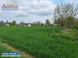 Koszyce Małe- ul. Lipowa - 15 arów- WZ - Obrazek 2