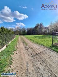 Działka budowlana 954 m² - Krzyż, ul. Sosnowa - Obrazek 3