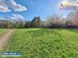 Działka budowlana 954 m² - Krzyż, ul. Sosnowa - Obrazek 4