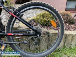 Rower dziecięcy Kross Hexagon Junior Replica 24" - Obrazek 3