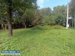 Działka z budynkami – 41 arów, Skrzyszów - Obrazek 4