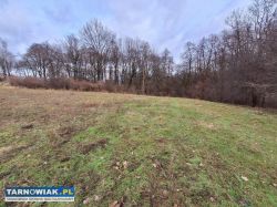 Pawęzów - Widokowa działka budowlana, 13.86 ara - Obrazek 4