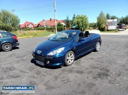 Peugeot 307cc 2.0 05r - Obrazek 2