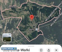 Kupię działkę budowlaną Jodłówka Wałki - Obrazek 1