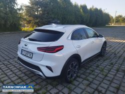 Xceed mild hybrid - Obrazek 3