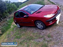 Sprzedam peugeot 206 1.4 stan bardzo dobry - Obrazek 1
