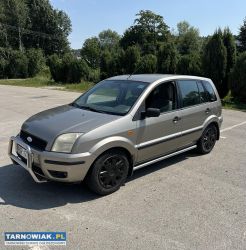 Ford fusion 1.4 diesel 2004r - Obrazek 1