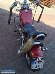 Motocykl Regal Raptor - Obrazek 4