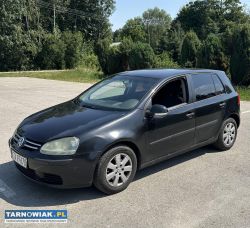 Volkswagen Golf V 1.6 gaz 2004r - Obrazek 1